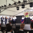 Pápai Csülök Cicege és Borfesztivál - Borcsütörtök