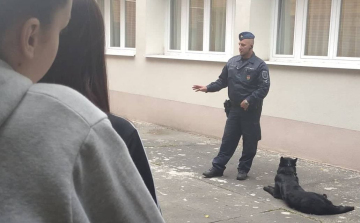 Fókuszban az állatvédelem