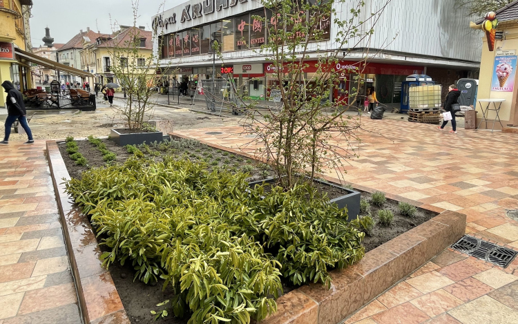 Zöld szigetek a Kossuth utcán