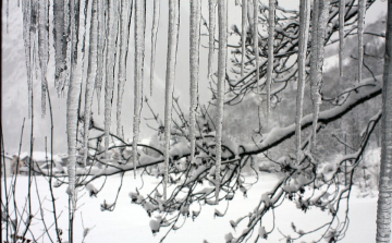 Megerősített szolgálattal készül a hidegre az Ökumenikus Segélyszervezet