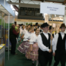 18. Pápai Agrárexpo 2014 - Képgaléria