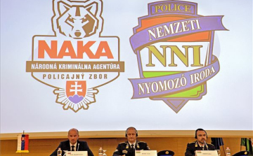 Pápa közelében találták meg a szlovákiai vállalkozó megcsonkított, megégetett holttestét