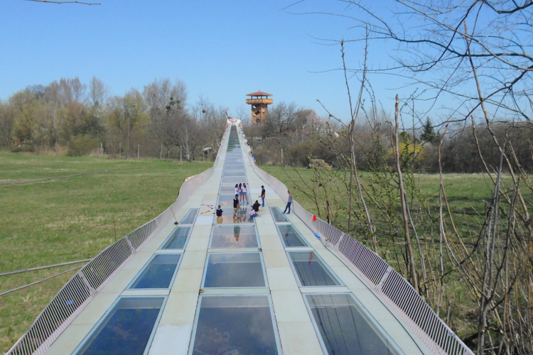 Eldőlt! Megépül az üveghíd a pápai Öreghegyen