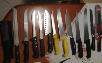 Késeket és fagyasztott húst lopott
