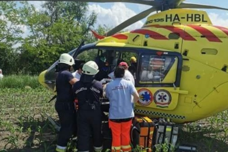 Fának csapódott egy autó Kajárpéc és Gyömöre között
