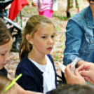 Pegazus Parádé - 2017