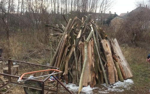 Kézikocsin tolta a lopott fát