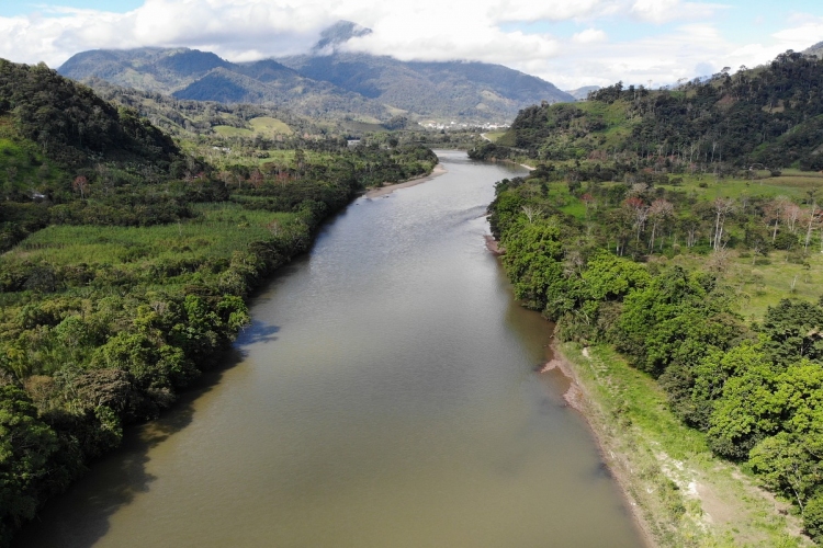 Összefüggést találtak az amazónai erdőirtás és a malária terjedése között