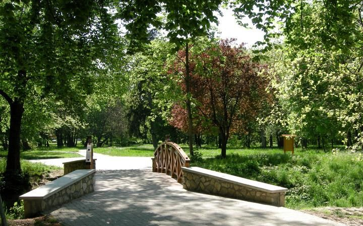 Parkban lett rosszul, rendőr segített rajta