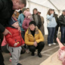 IV. Pápai Böjtelő Böllérverseny (2017)