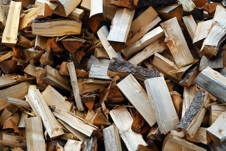 Egyre hatékonyabb az illegális fakitermelés és kereskedelem elleni küzdelem 