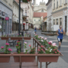 6. Watchman Pápa Félmaraton