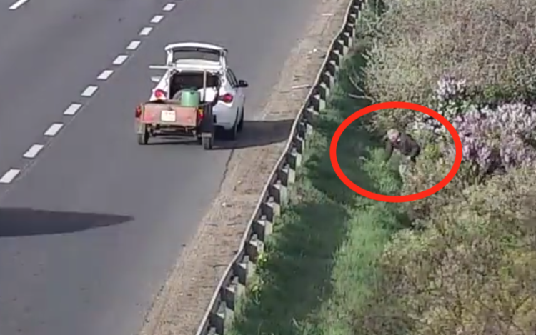 Félreállt az M1-esen, hogy orgonát szedjen