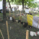 XX. Pápai Agrárexpo - Szombat