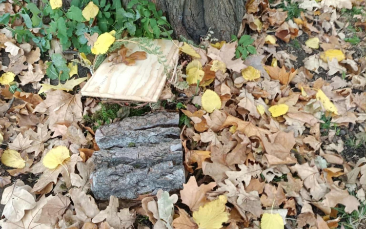 Megrongálták, elvitték a manó ajtócskákat az Erzsébet ligetből