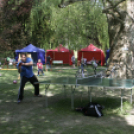 Mozdulj Pápa - 2016