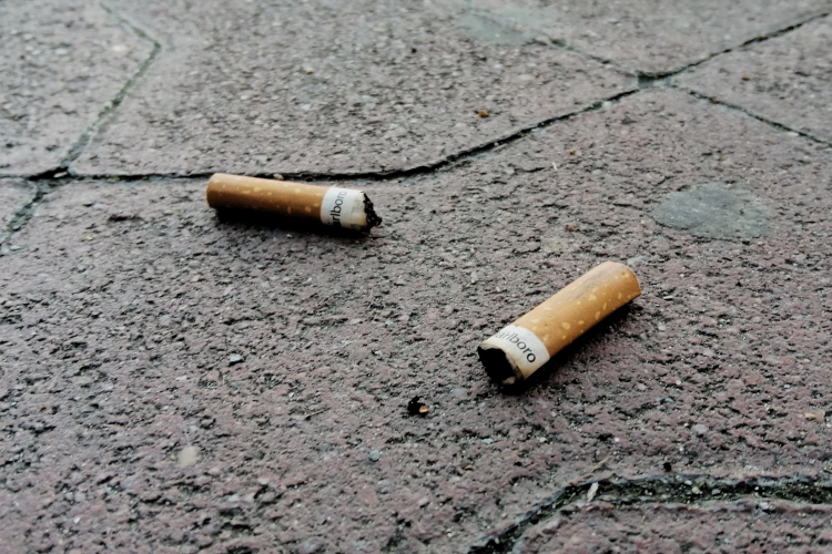 Nem csak az egészséget, a környezetünket is rombolja