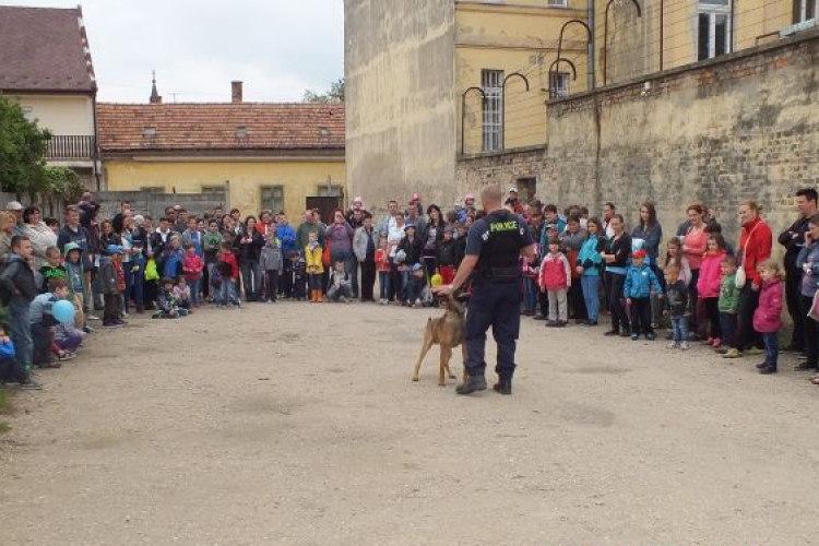 Nyílt nap a Pápai Rendőrkapitányságon
