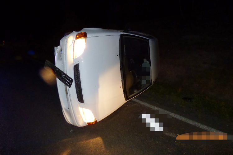 Vigyázat, szarvasok!