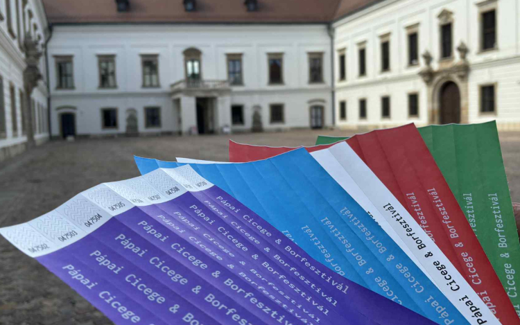 Belépődíjas lesz a Pápai Borfesztivál