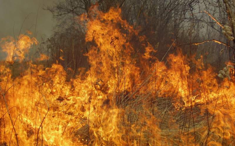 Hatósági felhívás!