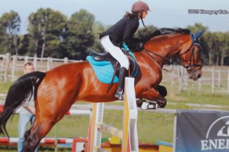 Számos érmet gyűjtöttek a pápai lovasok