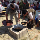 XX. Pápai Agrárexpo - Szombat