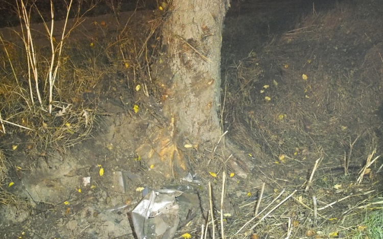 Fának ütközött egy autó Csót és Béb között