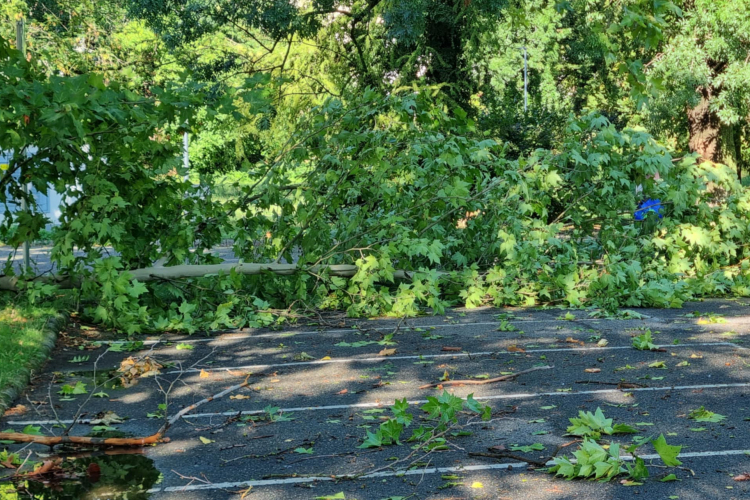 Brutális erővel csapott le a vihar Pápára és környékére