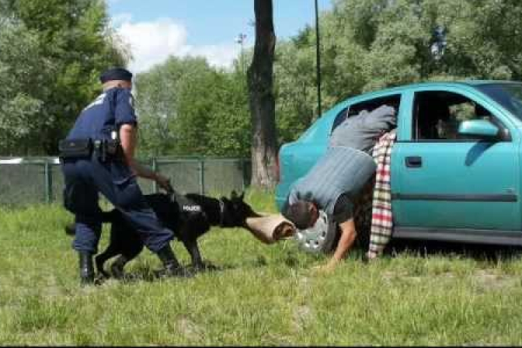 Rendőrkutya akadályozta meg a szökést