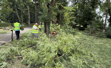 A cigányönkormányzat tagjai is segítették a viharkárok elhárítását