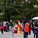 Múzeumok Őszi Fesztiválja - Családi Nap Pápán