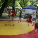 Pápai Játékfesztivál - Szombat - Főzőverseny, Várkerti és Fő téri programok