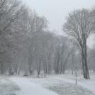 Havazás Pápa Belvárosában