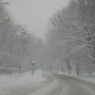 40 cm hó Pápán - 2013