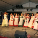 Pápai Csülök-, Cicege- és Borfesztivál - Borpéntek