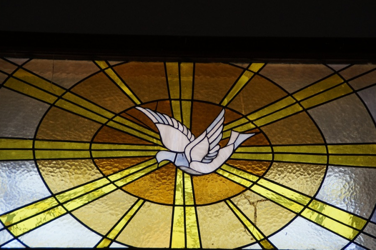 A betegek világnapját tartja ma a katolikus egyház