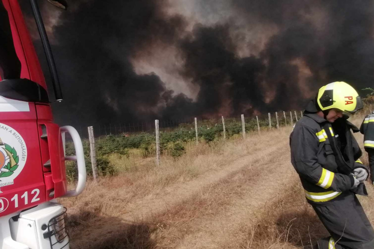 Még mindig küzdenek a lángokkal a tűzoltók, foltokban még ég a növényzet