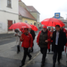 Mesterházy Attila Pápán kampányolt