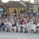 Csináljuk a Fesztivált - Szerda