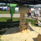 Pápai Agrárexpo - 2018 - Szombat