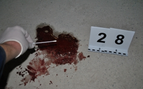 Embert ölhetett D. Sándor!