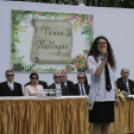Városi Ballagás - Pápa - 2017