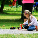 Pegazus Parádé - 2017