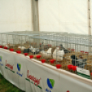 Pápai Agrárexpo - 2018 - Vasárnap