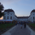 Pápai Csülök Cicege és Bor Fesztivál