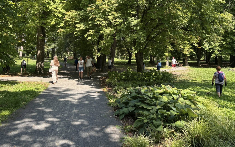 Közösségi összefogásban takarították el civilek a viharkárokat a Várkertben