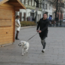 Szilveszteri Futás - 2019