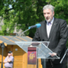 Városi Ballagás 2014 - Pápa