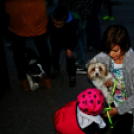 Flashmob az Állatok Világnapján - Pápa